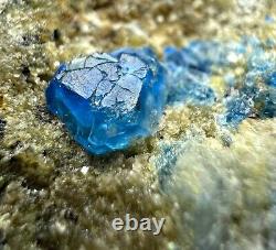 118 CT Extremely Rare, Full Terminated Royal Blue Hauyne Crystals on Matrix @AFG