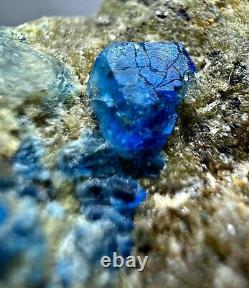 118 CT Extremely Rare, Full Terminated Royal Blue Hauyne Crystals on Matrix @AFG