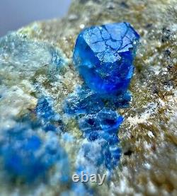 118 CT Extremely Rare, Full Terminated Royal Blue Hauyne Crystals on Matrix @AFG