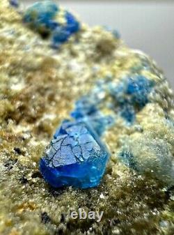 118 CT Extremely Rare, Full Terminated Royal Blue Hauyne Crystals on Matrix @AFG