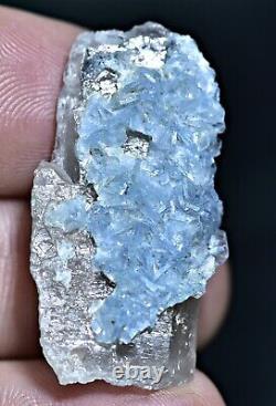 33 CT Extremely Rare Sky Blue Vorobyevite Beryl Rosterite Crystals On Quartz