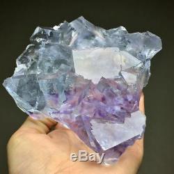 453g Gem grade-rare Natural Extreme transparent purple phantom blue fluorite