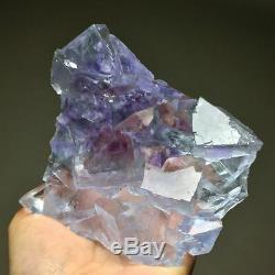453g Gem grade-rare Natural Extreme transparent purple phantom blue fluorite