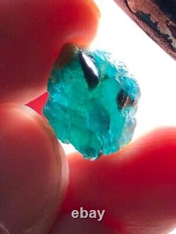 8Carat Mindblowing Rough Extremely Rare Blue Grandiderite Facet Grade Quality Ma