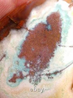 All Natural Blue Opal Petrified Wood Copper Heart Shape 54.95 CT Extremely Rare