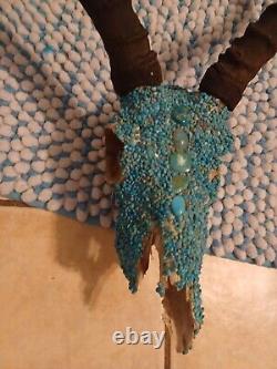 Antelope Skull With Turquoise Extremely Rare