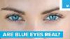 Are Blue Eyes Really Blue Sharp Science