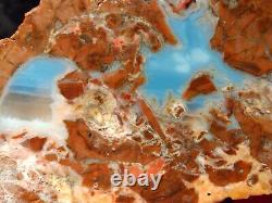 Baker Ranch Thunderegg Agate Rough Pair Extremely Rare Blue