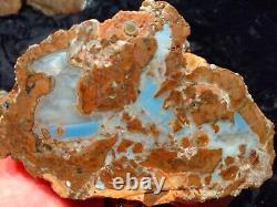 Baker Ranch Thunderegg Agate Rough Pair Extremely Rare Blue