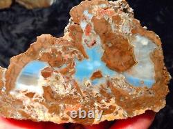 Baker Ranch Thunderegg Agate Rough Pair Extremely Rare Blue