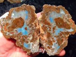 Baker Ranch Thunderegg Agate Rough Pair Extremely Rare Blue