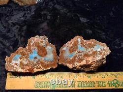 Baker Ranch Thunderegg Agate Rough Pair Extremely Rare Blue