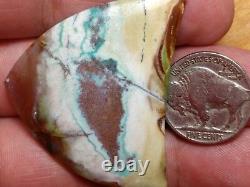 Blue Opal Petrified Wood with Copper Heart & Stars Shape 54.95 CT Extremely Rare
