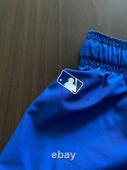 EXTREMELY RARE Vlad Guerrero Jr team issued nike toronto blue jays shorts XL