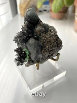 Extreme Dark Green Black Apophyllite Rare Crystals with Blue Green Stilbite