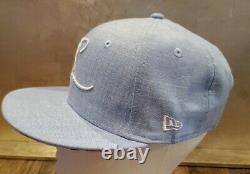 Extremely RARE Disney Beauty Rose Hat snapback NEW ERA SOLD OUT Chambray Rose