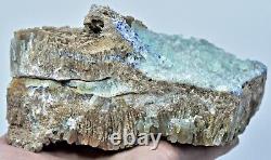Extremely Rare Aragonite Crystals Cluster Blue Azurite On Both Side Matrix @Afg