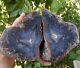 Extremely Rare Mirror Polished Big Turkish Blue Lace Stick Agate Pair Uv Reactiv