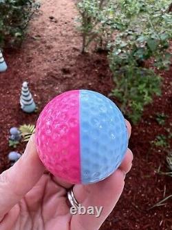 Extremely Rare! Pale Blue And Pink 2 Tone Ping Golf Ball
