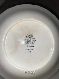 Extremely rare Vintage snowflake American Limoges U. G. Blue Concord bowl
