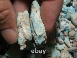 Lone Mountain Rough Turquoise Extremely Rare 25g Nuggets or Small Chips