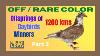 Off Rare Color Offsprings Of 1200 Kms Daybirds Winners Champions Part 2 Miles Loft Nz