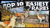 Top 10 Easiest Rares In Call Of The Wild 2024 25