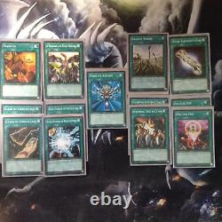 Yugioh Blue-Eyes White Dragon Deck